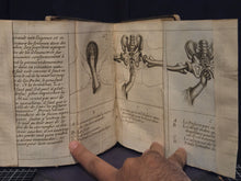 Load image into Gallery viewer, Observations Sur la Pratique des Acouchemens Naturels, Contre Nature et Monstreux, 1674. An Illustrated Medical Guide to Childbirth, With Numerous Engravings of Infants and More