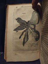 Load image into Gallery viewer, Observationes Medicae, 1672. Tulp’s “Book of Monsters” with 20 Engravings Including Animals and More