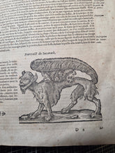 Load image into Gallery viewer, Les Oeuvres d'Ambroise Pare, 1664. The 12th Edition of Pare’s Collected Works, with Hundreds of Woodcuts Showing Monstrous Creatures, Anatomical Views, Surgical Procedures, Tools, Deformities, and Much More