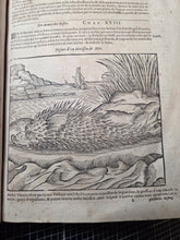 Load image into Gallery viewer, Les Oeuvres d'Ambroise Pare, 1664. The 12th Edition of Pare’s Collected Works, with Hundreds of Woodcuts Showing Monstrous Creatures, Anatomical Views, Surgical Procedures, Tools, Deformities, and Much More