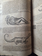 Load image into Gallery viewer, Les Oeuvres d'Ambroise Pare, 1664. The 12th Edition of Pare’s Collected Works, with Hundreds of Woodcuts Showing Monstrous Creatures, Anatomical Views, Surgical Procedures, Tools, Deformities, and Much More