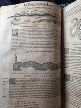 Load image into Gallery viewer, Les Oeuvres d'Ambroise Pare, 1664. The 12th Edition of Pare’s Collected Works, with Hundreds of Woodcuts Showing Monstrous Creatures, Anatomical Views, Surgical Procedures, Tools, Deformities, and Much More