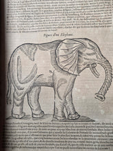 Load image into Gallery viewer, Les Oeuvres d'Ambroise Pare, 1664. The 12th Edition of Pare’s Collected Works, with Hundreds of Woodcuts Showing Monstrous Creatures, Anatomical Views, Surgical Procedures, Tools, Deformities, and Much More