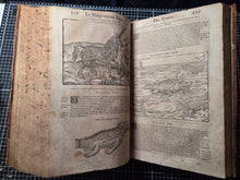 Load image into Gallery viewer, Les Oeuvres d'Ambroise Pare, 1664. The 12th Edition of Pare’s Collected Works, with Hundreds of Woodcuts Showing Monstrous Creatures, Anatomical Views, Surgical Procedures, Tools, Deformities, and Much More