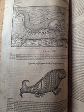 Load image into Gallery viewer, Les Oeuvres d'Ambroise Pare, 1664. The 12th Edition of Pare’s Collected Works, with Hundreds of Woodcuts Showing Monstrous Creatures, Anatomical Views, Surgical Procedures, Tools, Deformities, and Much More