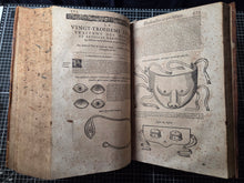 Load image into Gallery viewer, Les Oeuvres d'Ambroise Pare, 1664. The 12th Edition of Pare’s Collected Works, with Hundreds of Woodcuts Showing Monstrous Creatures, Anatomical Views, Surgical Procedures, Tools, Deformities, and Much More