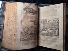 Load image into Gallery viewer, Les Oeuvres d'Ambroise Pare, 1664. The 12th Edition of Pare’s Collected Works, with Hundreds of Woodcuts Showing Monstrous Creatures, Anatomical Views, Surgical Procedures, Tools, Deformities, and Much More