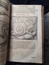 Load image into Gallery viewer, Les Oeuvres d'Ambroise Pare, 1664. The 12th Edition of Pare’s Collected Works, with Hundreds of Woodcuts Showing Monstrous Creatures, Anatomical Views, Surgical Procedures, Tools, Deformities, and Much More