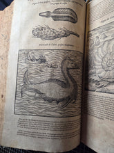 Load image into Gallery viewer, Les Oeuvres d'Ambroise Pare, 1664. The 12th Edition of Pare’s Collected Works, with Hundreds of Woodcuts Showing Monstrous Creatures, Anatomical Views, Surgical Procedures, Tools, Deformities, and Much More