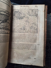 Load image into Gallery viewer, Les Oeuvres d'Ambroise Pare, 1664. The 12th Edition of Pare’s Collected Works, with Hundreds of Woodcuts Showing Monstrous Creatures, Anatomical Views, Surgical Procedures, Tools, Deformities, and Much More