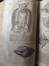 Load image into Gallery viewer, Les Oeuvres d'Ambroise Pare, 1664. The 12th Edition of Pare’s Collected Works, with Hundreds of Woodcuts Showing Monstrous Creatures, Anatomical Views, Surgical Procedures, Tools, Deformities, and Much More