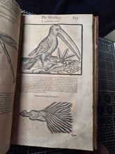 Load image into Gallery viewer, Les Oeuvres d'Ambroise Pare, 1664. The 12th Edition of Pare’s Collected Works, with Hundreds of Woodcuts Showing Monstrous Creatures, Anatomical Views, Surgical Procedures, Tools, Deformities, and Much More