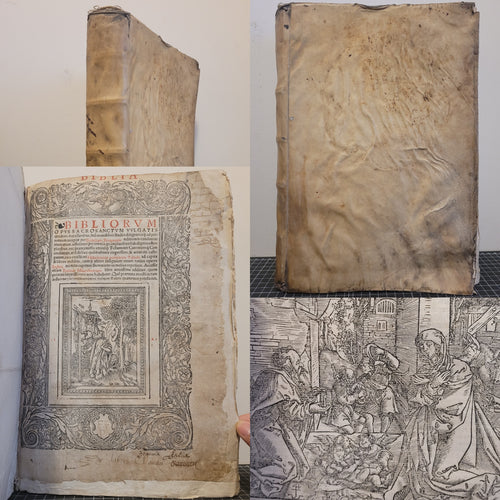 Bibliorum opus Sacrosanctum Vulgatis quidem characteribus, sed incredibili studio diligentiaque ad primaevum receptae per ecclesiam Romanam aeditionis candorem revocatum, 1541