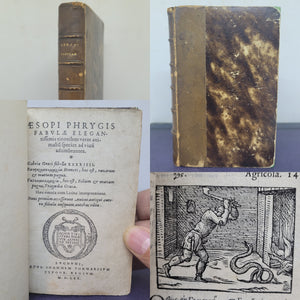 Fabulae Elegantissimis Eiconibus Veras Animalium Species ad Viuum Adumbrantes. Fabellae XXXXIIII. Batrachomyomachia, hoc est, ranarum et murium pugna. Galeomyomachia, hoc est, felium et murium pugna, tragoedia Greca, 1570