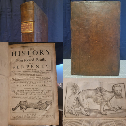 The History of Four-Footed Beasts and Serpents Describing at Large Their True and Lively Figures… whereunto is now added, the Theater of Insects, 1658