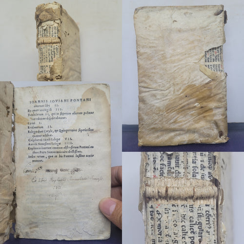 Ioannis Iouiani Pontani Amorum libri II, 1519-1520