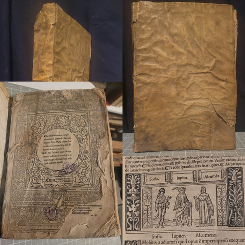 Ex emendationibus, adque commentariis Bernardi Saraceni, Ioannis Petri Vallae Plauti comoediae XX, 1511. Illustrated Plautus
