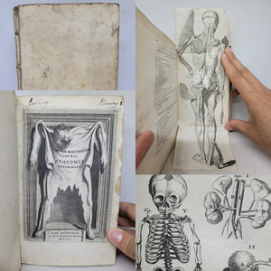 Anatomia ex Caspari Bartholini parentis Institutionibus omniumque recentiorum &amp; propriis observationibus tertiùm ad sanguinis circulationem reformata, 1651
