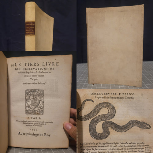 Les Observations de Plusieurs Singularitez et Choses Memorables, Trouuées en Grece, Asie, Iudée, Egypte, Arabie, & autres pays estranges redigées en trois liures, 1553