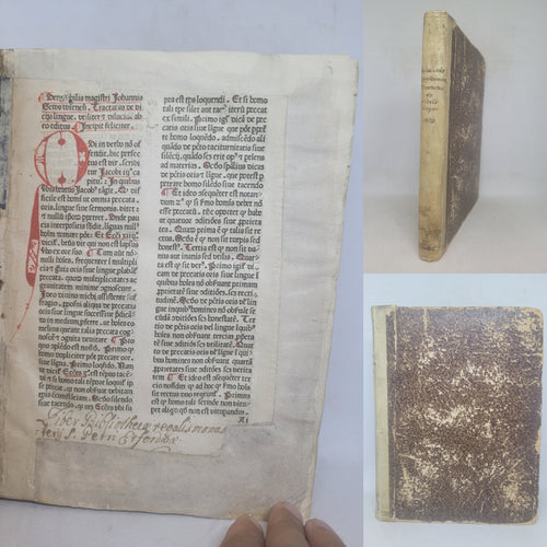 De Vitiis Linguae, 1479