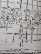 Load image into Gallery viewer, Culture Parfaite Des Jardins Fruitiers Et Potagers: Avec Des Dissertations Sur la taille des Arbes, 1743