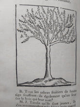 Load image into Gallery viewer, Culture Parfaite Des Jardins Fruitiers Et Potagers: Avec Des Dissertations Sur la taille des Arbes, 1743