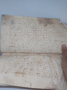 Vellum Manuscript, February 14 1623