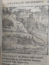 Load image into Gallery viewer, Centum fabulae ex antiquis auctoribus delectae et a Gabriele Faerno Cremonensi carminibus explicatae, 1585