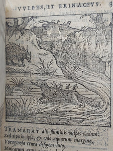 Centum fabulae ex antiquis auctoribus delectae et a Gabriele Faerno Cremonensi carminibus explicatae, 1585