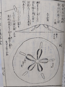 Kenkadou Zatsugaku, 1856/59. Volumes 1-4