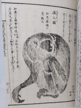 Load image into Gallery viewer, Kenkadou Zatsugaku, 1856/59. Volumes 1-4