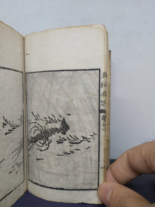 Bunrin gafu, 1883. Volumes 2-4, 6, 9, 10, 11-17