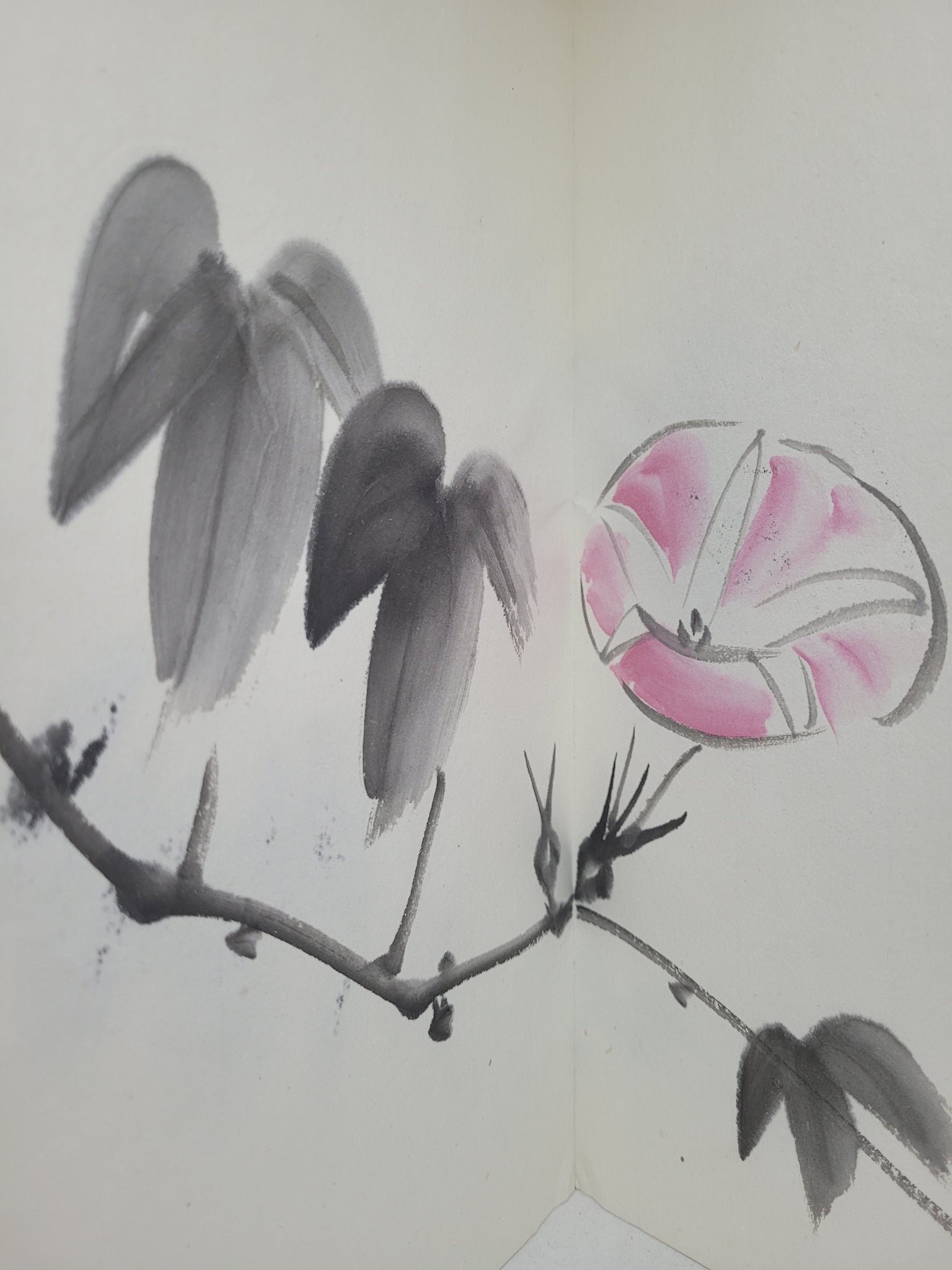 Sketchbook: Pink Japanese Lotus Flower Notebook for Drawing