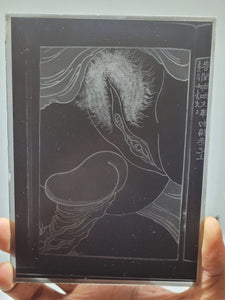 Shunga, Glass Negative Photographic Plates. Set of 12, Box L. Early 20th Century