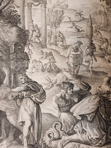 Ovids Metamorphosis Englished, Mythologiz'd, and Represented in Figures, 1640