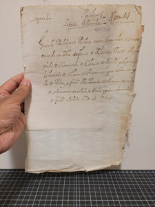 Spanish Notarial Manuscript, for one Juana Perez Pinero in Ciudad Rodrigo, 1565