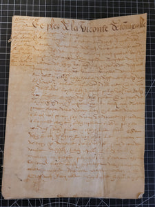 French Manuscript for one Viscount Defongeule(?), 1596. Manuscript on Parchment
