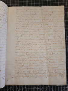 French Manuscript for one Viscount Defongeule(?), 1596. Manuscript on Parchment