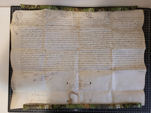 Papal Bull of Pope Pius VI, January 27, 1786. Manuscript on Parchment