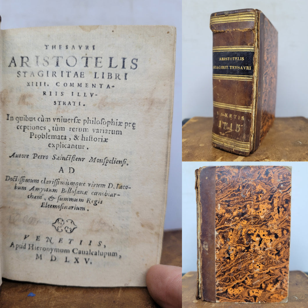 Thesauri Aristotelis Stagiritae libri XIIII Commentariis Illustrati: in quibus cum universae philosophiae praeceptiones, tum rerum variarum problemata, & historiae explicantur, 1565