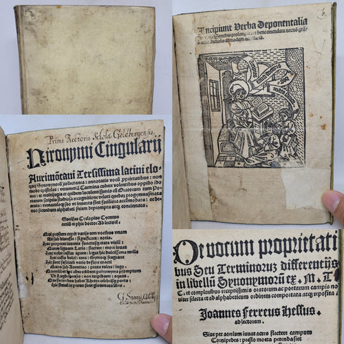Hieronymi Cingularij Aurimontani Tersissima Latini eloquij; Bound With; De vocum proprietatibus seu terminorum differentiis in libellum synonymorum annotatio; Bound With; Incipiunt verba deponentalia Joannis Synthis
